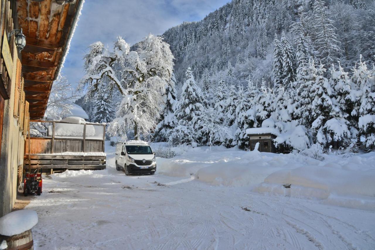 Appartement 6 Pers 70 M² Dans Chalet Chez Marie Montriond Eksteriør bilde